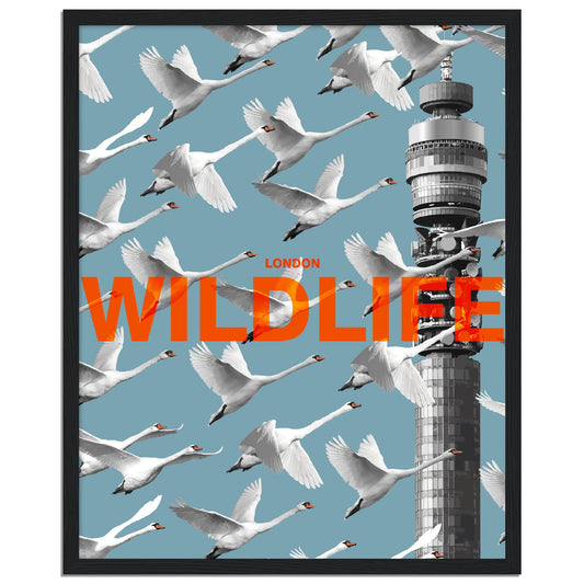 LondonBaby Art: London Wildlife - Wooden framed print